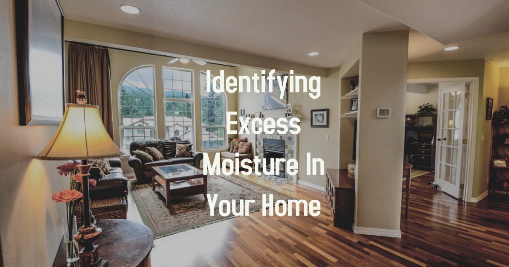 Identifying Excess Moisture in Your Home