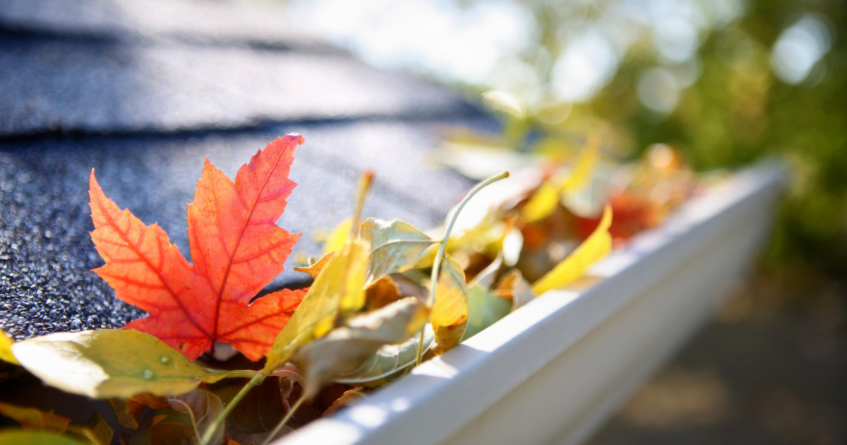 The Importance of Keeping Gutter Clean